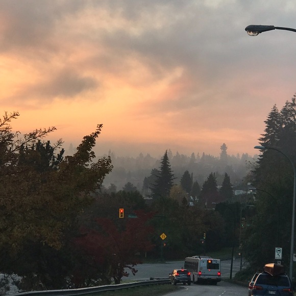 Meet your Posher, Andrea - Picture 5 of 15